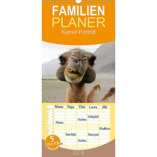 Kamel Porträt - Familienplaner hoch (Wandkalender 2019 , 21 cm x 45 cm, hoch), Sven Gruse