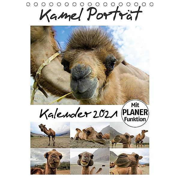 Kamel Porträt (Tischkalender 2021 DIN A5 hoch), Sven Gruse