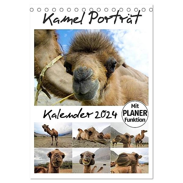 Kamel Porträt (Tischkalender 2024 DIN A5 hoch), CALVENDO Monatskalender, Sven Gruse