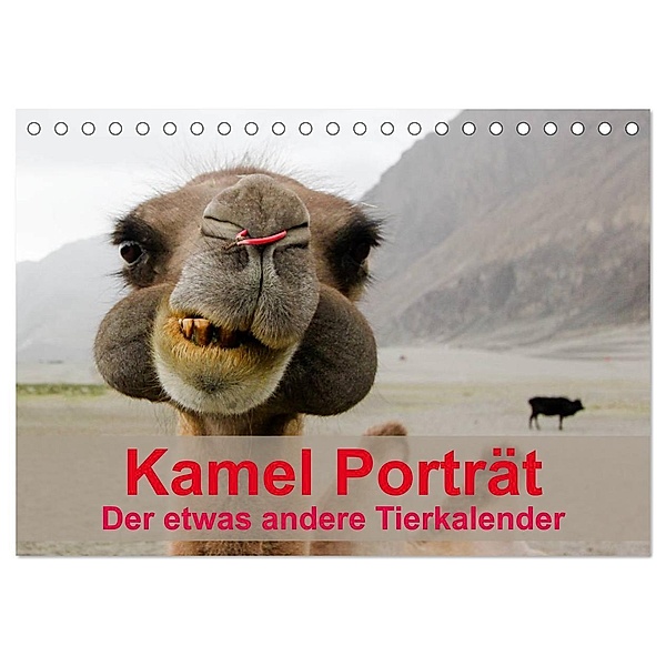 Kamel Porträt (Tischkalender 2024 DIN A5 quer), CALVENDO Monatskalender, Sven Gruse