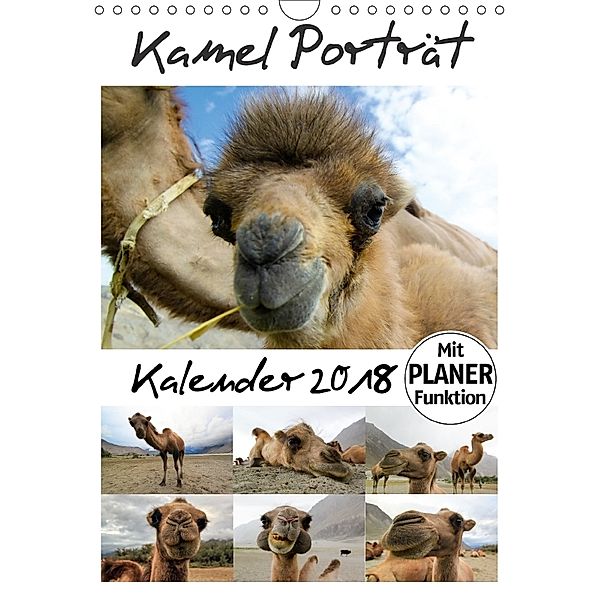 Kamel Porträt (Wandkalender 2018 DIN A4 hoch), Sven Gruse