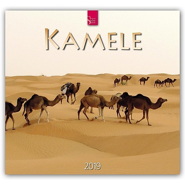 Kamele 2019