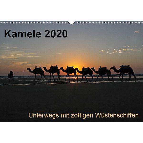 Kamele 2020 - Unterwegs mit zottigen WüstenschiffenCH-Version (Wandkalender 2020 DIN A3 quer), Melanie Weber