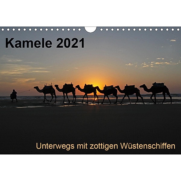 Kamele 2021 - Unterwegs mit zottigen WüstenschiffenCH-Version (Wandkalender 2021 DIN A4 quer), Melanie Weber