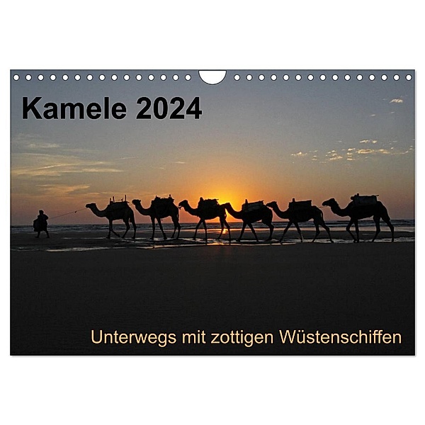 Kamele 2024 - Unterwegs mit zottigen Wüstenschiffen (Wandkalender 2024 DIN A4 quer), CALVENDO Monatskalender, Melanie Weber