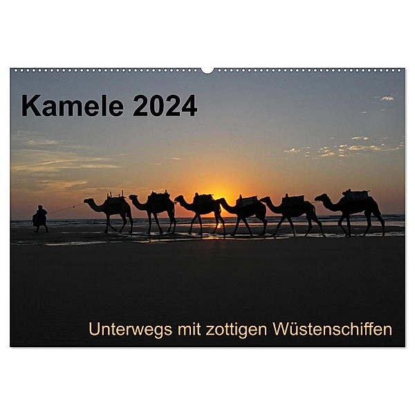 Kamele 2024 - Unterwegs mit zottigen Wüstenschiffen (Wandkalender 2024 DIN A2 quer), CALVENDO Monatskalender, Melanie Weber