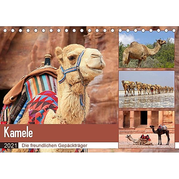 Kamele - Die freundlichen Gepäckträger (Tischkalender 2021 DIN A5 quer), Michael Herzog