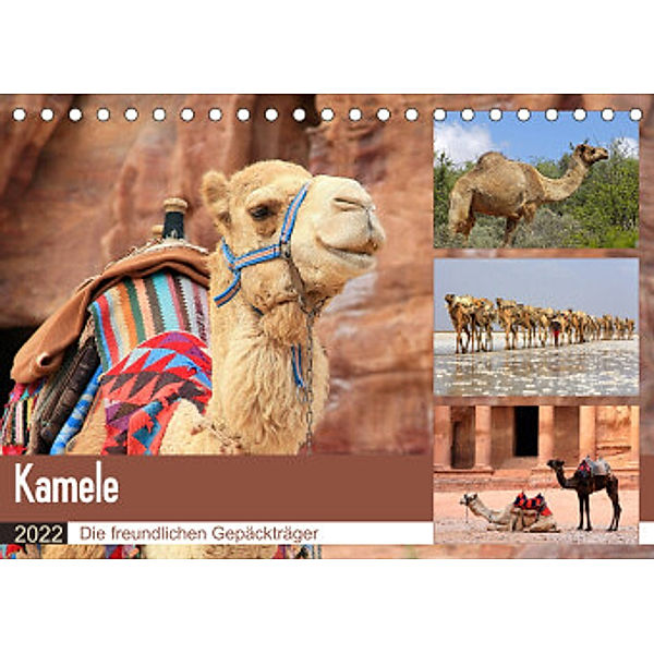 Kamele - Die freundlichen Gepäckträger (Tischkalender 2022 DIN A5 quer), Michael Herzog
