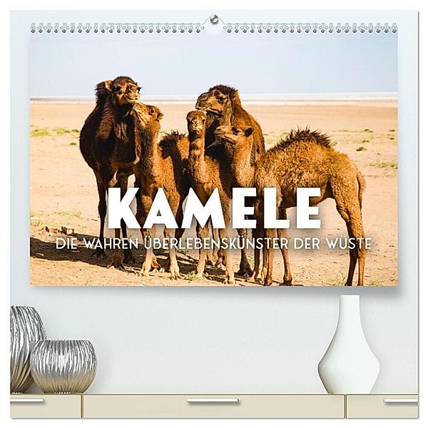 Kamele - die wahren Überlebenskünstler der Wüste. (hochwertiger Premium Wandkalender 2024 DIN A2 quer), Kunstdruck in Hochglanz, SF
