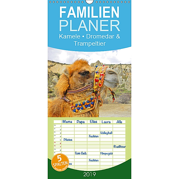 Kamele - Dromedar & Trampeltier - Familienplaner hoch (Wandkalender 2019 , 21 cm x 45 cm, hoch), Elisabeth Stanzer