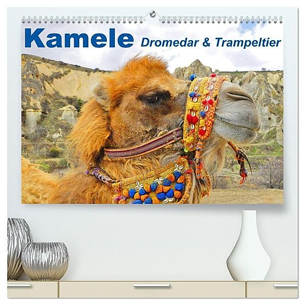 Kamele - Dromedar & Trampeltier (hochwertiger Premium Wandkalender 2024 DIN A2 quer), Kunstdruck in Hochglanz, Elisabeth Stanzer