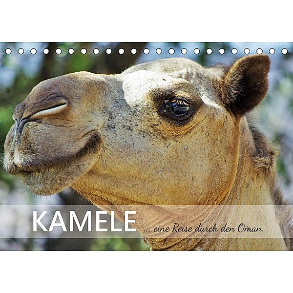 KAMELE... eine Reise durch den Oman. (Tischkalender 2023 DIN A5 quer), Sabine Reining