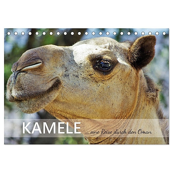 KAMELE... eine Reise durch den Oman. (Tischkalender 2024 DIN A5 quer), CALVENDO Monatskalender, Sabine Reining