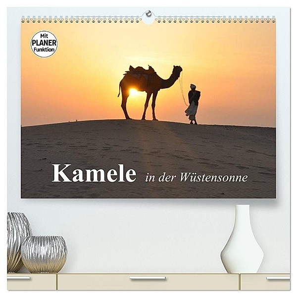Kamele in der Wüstensonne (hochwertiger Premium Wandkalender 2024 DIN A2 quer), Kunstdruck in Hochglanz, Elisabeth Stanzer