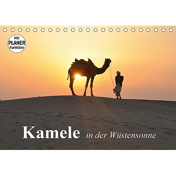 Kamele in der Wüstensonne (Tischkalender 2021 DIN A5 quer), Elisabeth Stanzer
