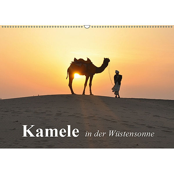 Kamele in der Wüstensonne (Wandkalender 2019 DIN A2 quer), Elisabeth Stanzer