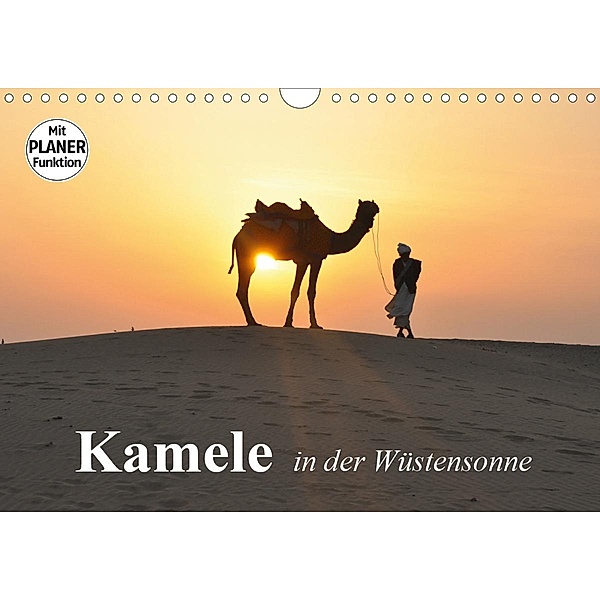 Kamele in der Wüstensonne (Wandkalender 2020 DIN A4 quer), Elisabeth Stanzer