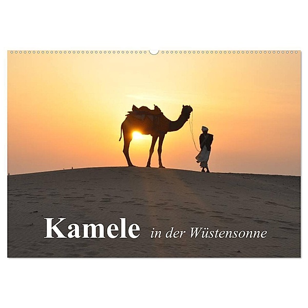 Kamele in der Wüstensonne (Wandkalender 2024 DIN A2 quer), CALVENDO Monatskalender, Elisabeth Stanzer