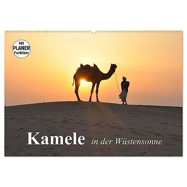 Kamele in der Wüstensonne (Wandkalender 2024 DIN A2 quer), CALVENDO Monatskalender, Elisabeth Stanzer