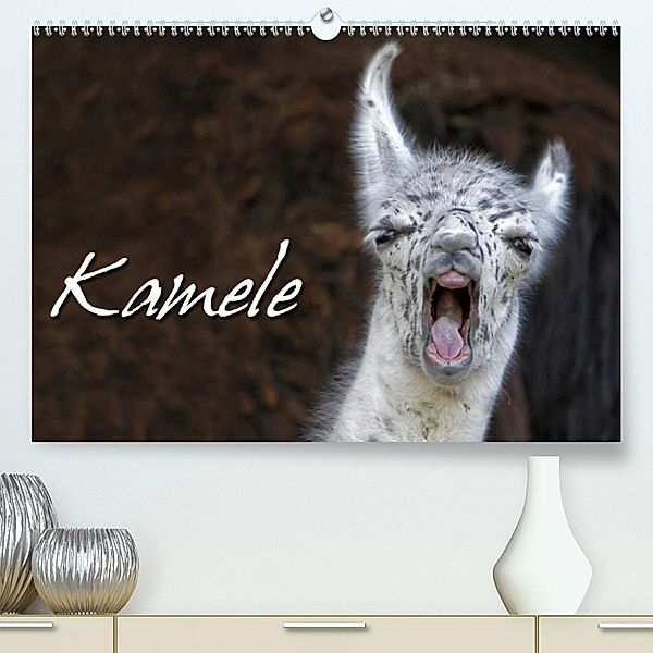 Kamele (Premium-Kalender 2020 DIN A2 quer), Martina Berg