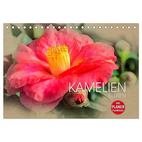 Kamelien Blüten (Tischkalender 2024 DIN A5 quer), CALVENDO Monatskalender, Dirk Meutzner