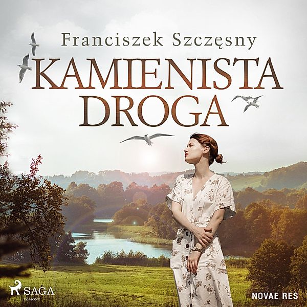 Kamienista droga, Franciszek Szczęsny