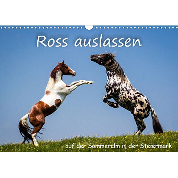 Kampf der Hengste - Ross auslassen auf der SommeralmAT-Version  (Wandkalender 2022 DIN A3 quer), Richard Reisenhofer