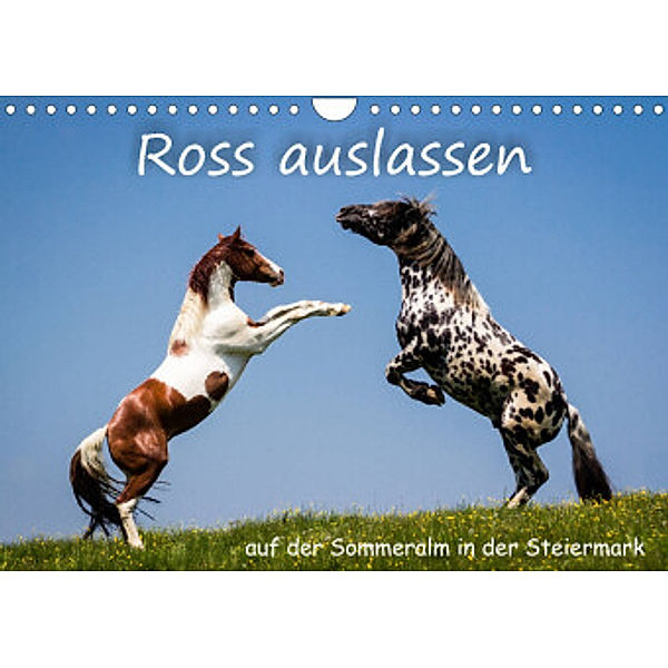 Kampf der Hengste - Ross auslassen auf der SommeralmAT-Version  (Wandkalender 2022 DIN A4 quer), Richard Reisenhofer