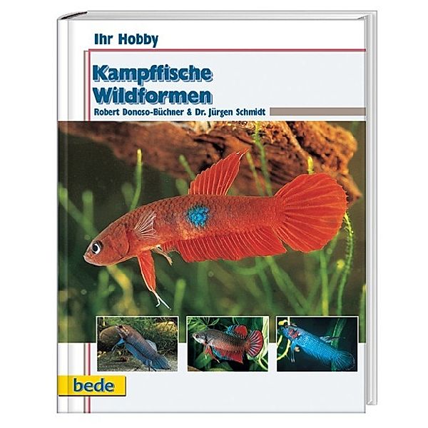 Kampffische - Wildformen, Robert Donoso-Büchner, Jürgen Schmidt