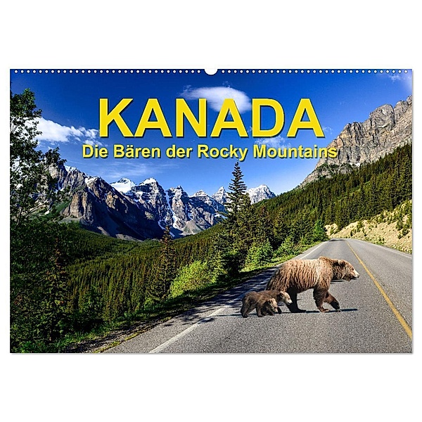 KANADA - Die Bären der Rocky Mountains (Wandkalender 2024 DIN A2 quer), CALVENDO Monatskalender, Hans-Gerhard Pfaff