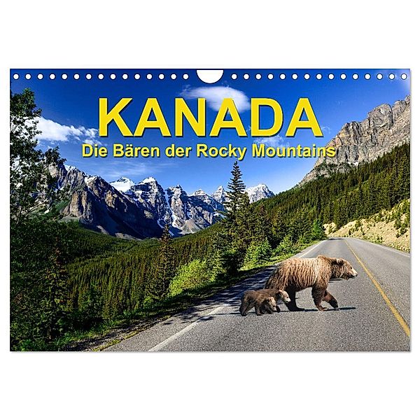 KANADA - Die Bären der Rocky Mountains (Wandkalender 2025 DIN A4 quer), CALVENDO Monatskalender, Calvendo, Hans-Gerhard Pfaff