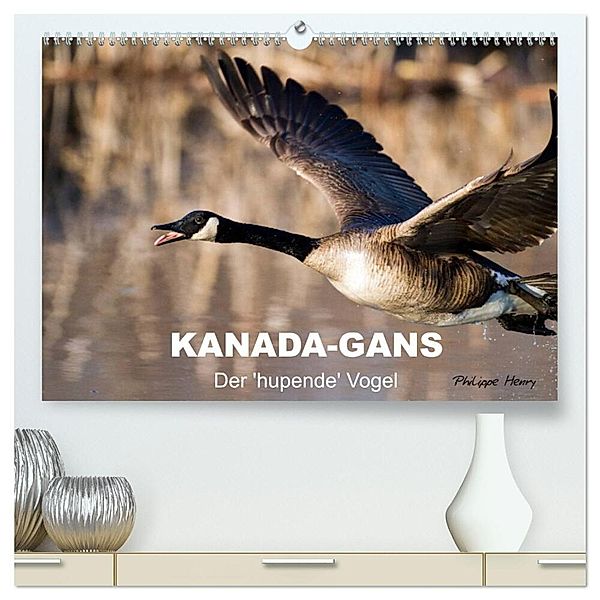 KANADA-GANS - Der 'hupende' Vogel (hochwertiger Premium Wandkalender 2024 DIN A2 quer), Kunstdruck in Hochglanz, Philippe Henry