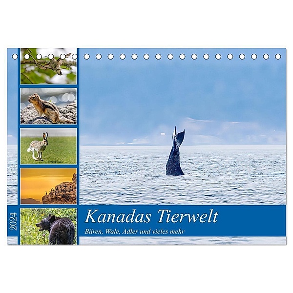 Kanadas Tierwelt - Bären, Wale und vieles mehr (Tischkalender 2024 DIN A5 quer), CALVENDO Monatskalender, ellenlichtenheldt