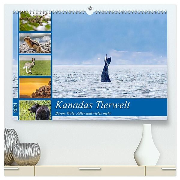 Kanadas Tierwelt - Bären, Wale und vieles mehr (hochwertiger Premium Wandkalender 2024 DIN A2 quer), Kunstdruck in Hochglanz, ellenlichtenheldt