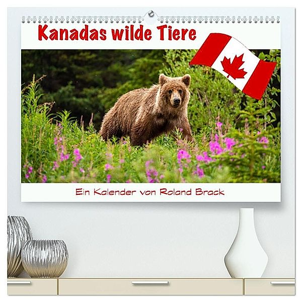 Kanadas Wilde Tiere (hochwertiger Premium Wandkalender 2024 DIN A2 quer), Kunstdruck in Hochglanz, Roland Brack