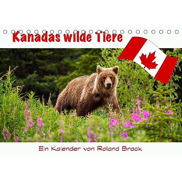 Kanadas Wilde Tiere (Tischkalender 2023 DIN A5 quer), Roland Brack