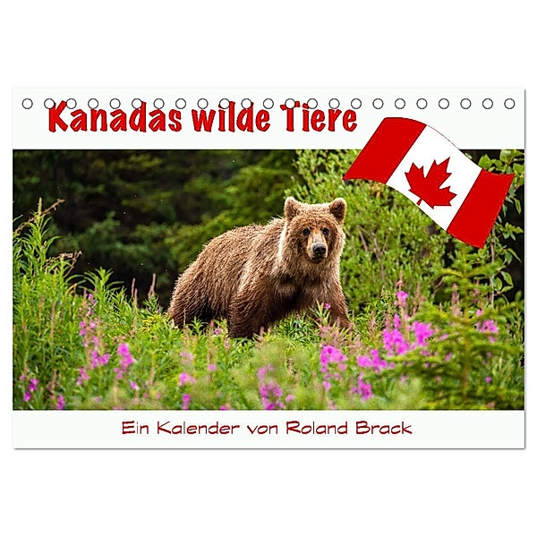 Kanadas Wilde Tiere (Tischkalender 2025 DIN A5 quer), CALVENDO Monatskalender, Calvendo, Roland Brack