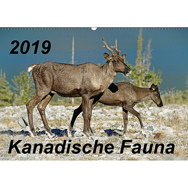Kanadische Fauna 2019 (Wandkalender 2019 DIN A2 quer), Stefan Schug