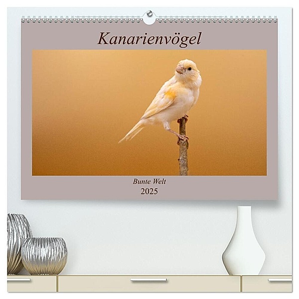 Kanarienvögel - Bunte Welt (hochwertiger Premium Wandkalender 2025 DIN A2 quer), Kunstdruck in Hochglanz, Calvendo, Akrema-Photography