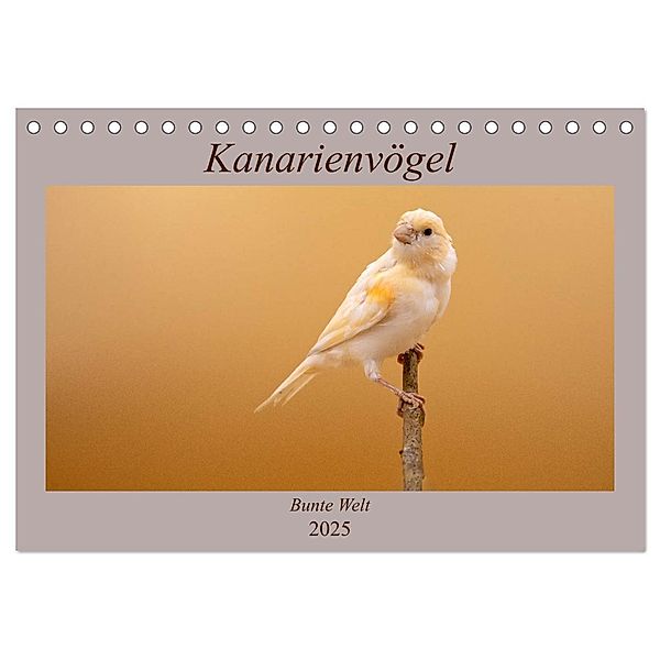 Kanarienvögel - Bunte Welt (Tischkalender 2025 DIN A5 quer), CALVENDO Monatskalender, Calvendo, Akrema-Photography