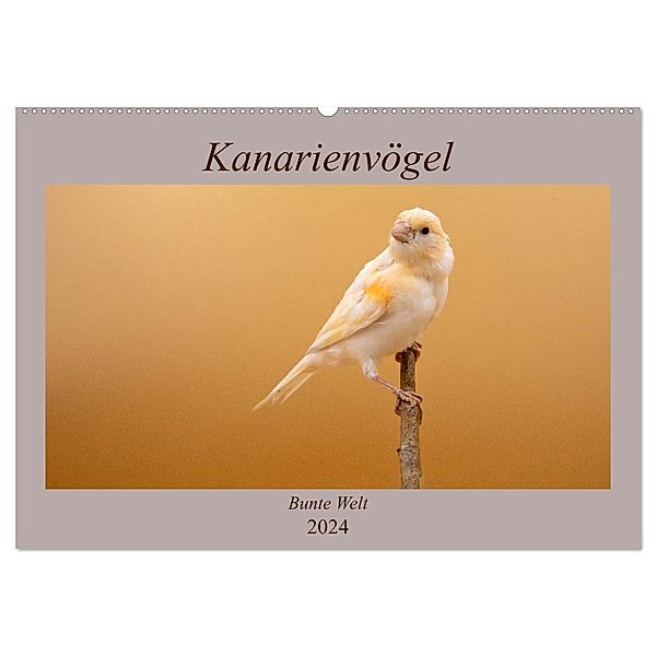 Kanarienvögel - Bunte Welt (Wandkalender 2024 DIN A2 quer), CALVENDO Monatskalender, Akrema-Photography