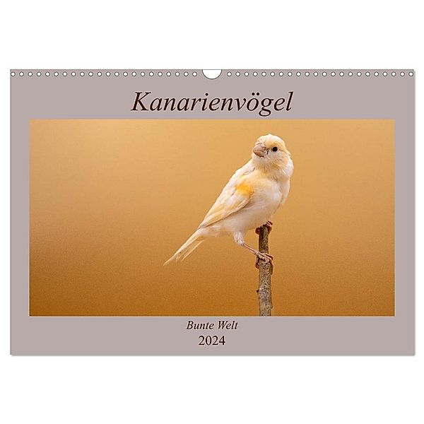 Kanarienvögel - Bunte Welt (Wandkalender 2024 DIN A3 quer), CALVENDO Monatskalender, Akrema-Photography