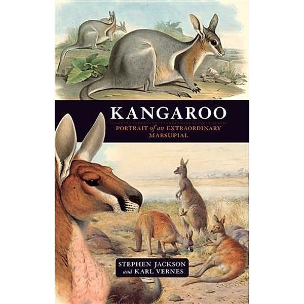 Kangaroo, Stephen Jackson