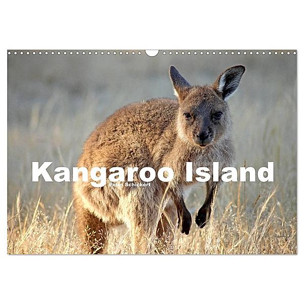 Kangaroo Island (Wandkalender 2024 DIN A3 quer), CALVENDO Monatskalender, Peter Schickert