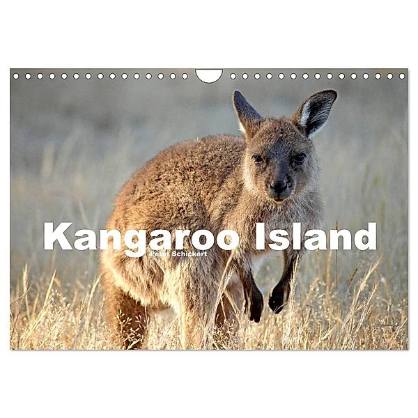 Kangaroo Island (Wandkalender 2024 DIN A4 quer), CALVENDO Monatskalender, Peter Schickert