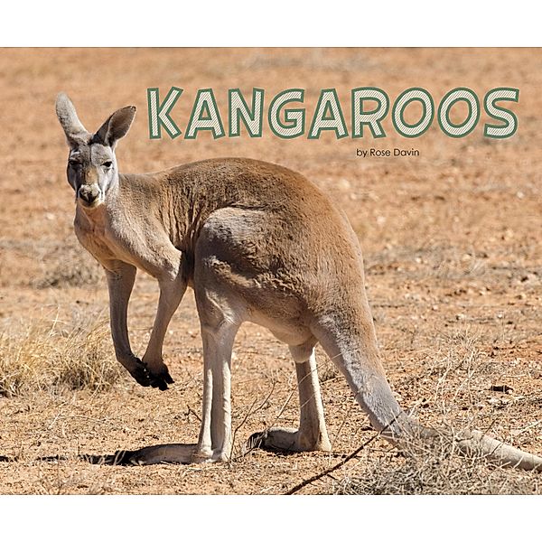 Kangaroos / Raintree Publishers, Rose Davin