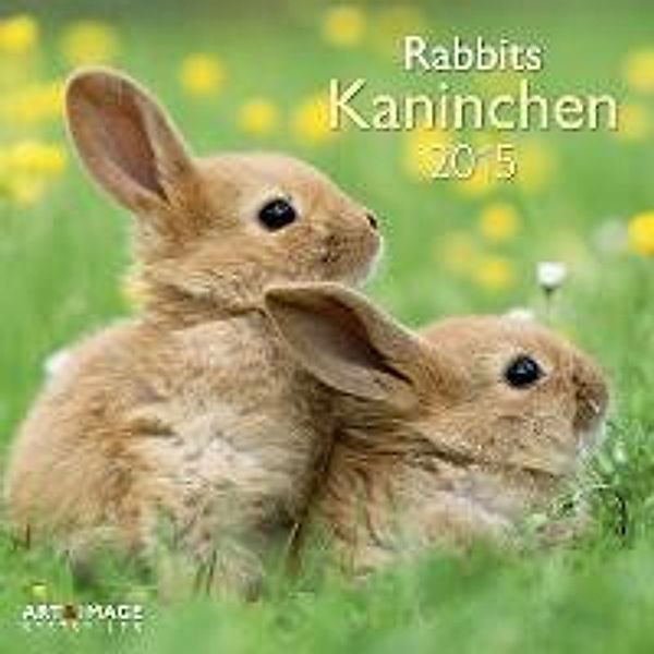 Kaninchen 2015