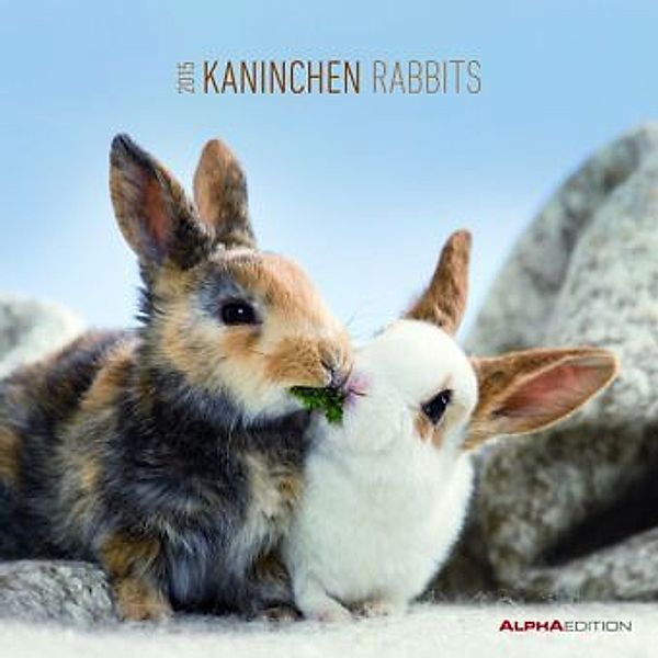 Kaninchen 2015. Rabbits