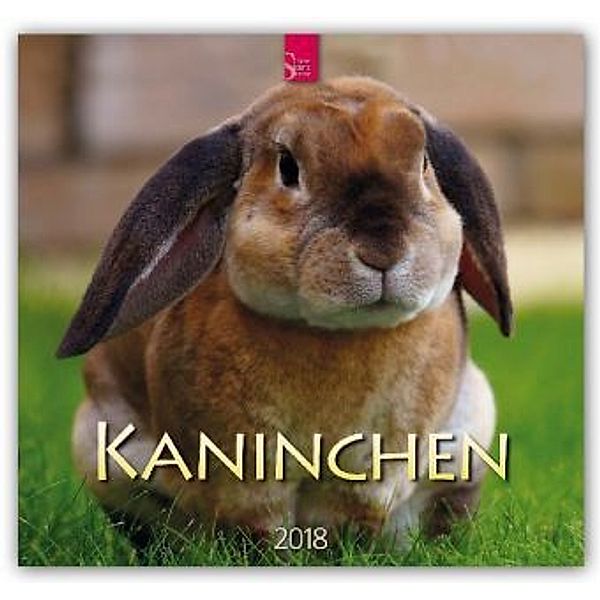 Kaninchen 2018