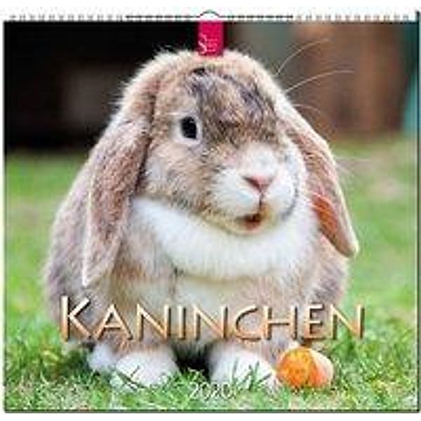 Kaninchen 2020